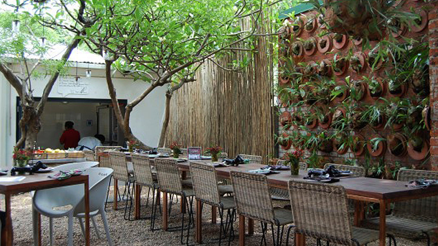 FREEDOM CAFE SOUTH AFRICA