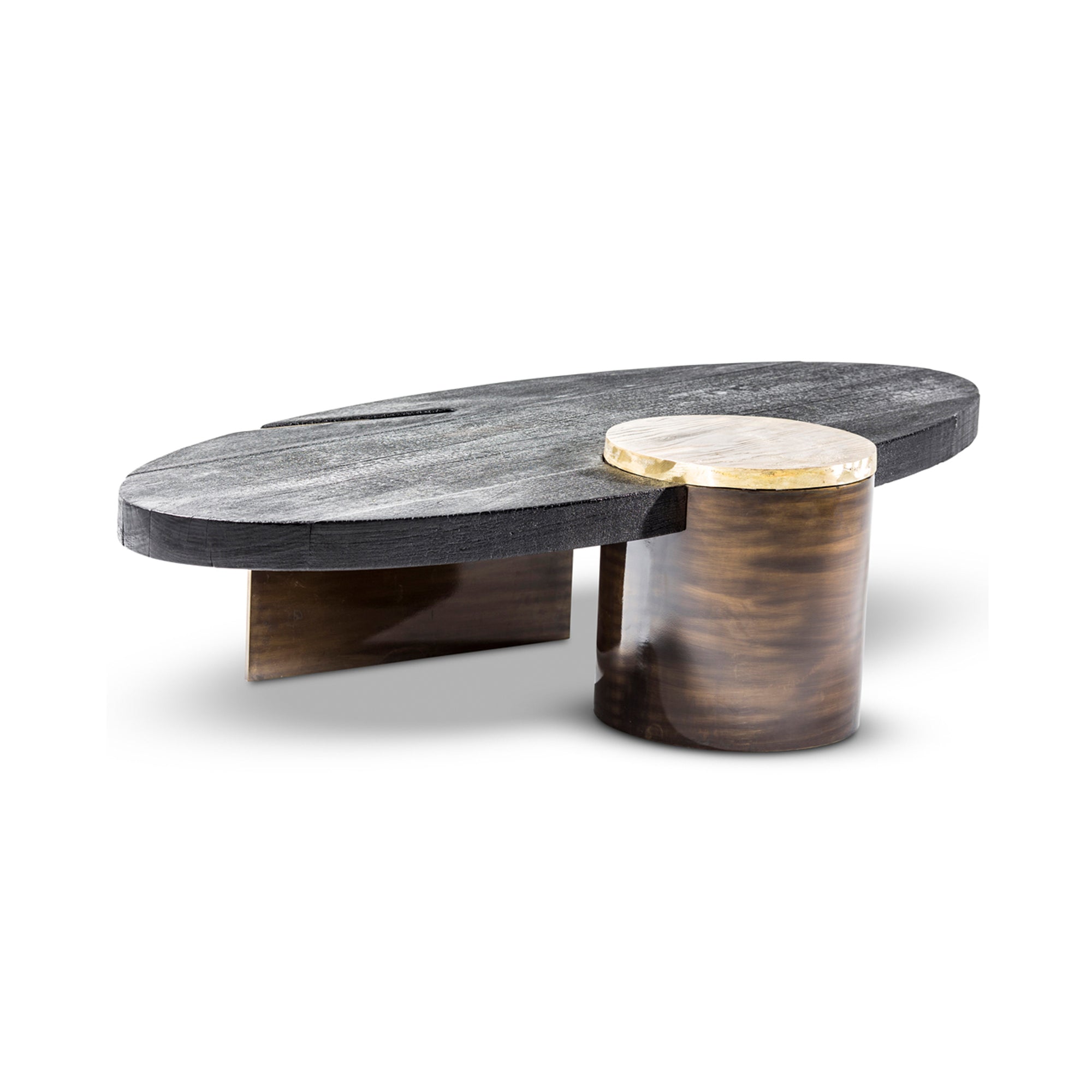 Primal Coffee Table