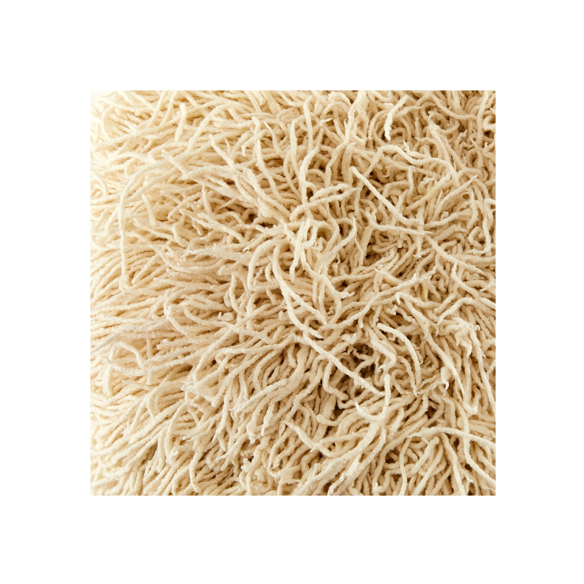 Strelitzia Cream Shaggy Dining Chair - Egg Designs