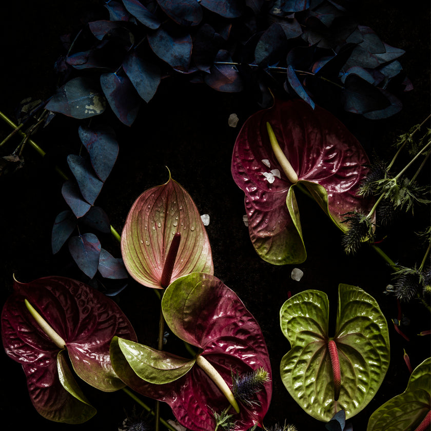 INTERNATIONAL SHIPPING