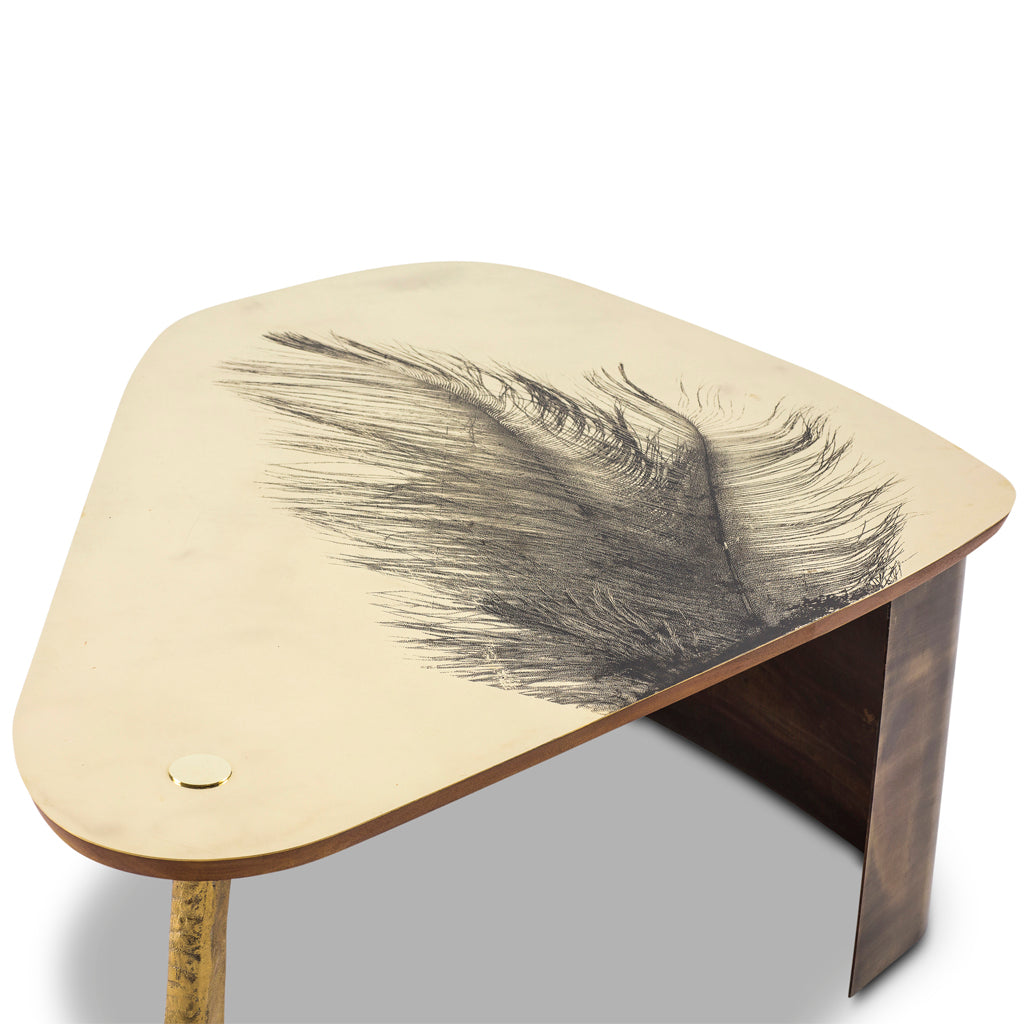 Ostrich Foot Coffee Table