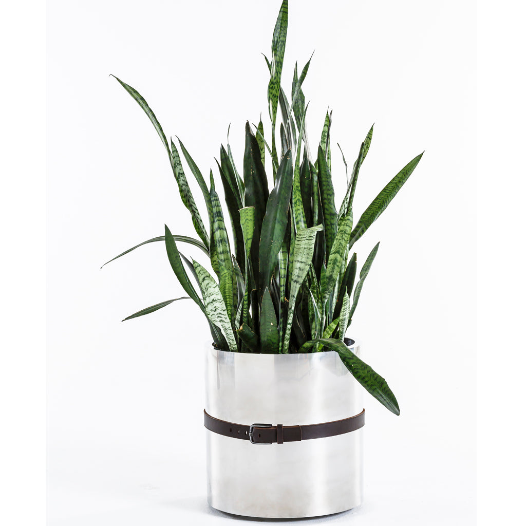 Stainless Steel Belted Planter