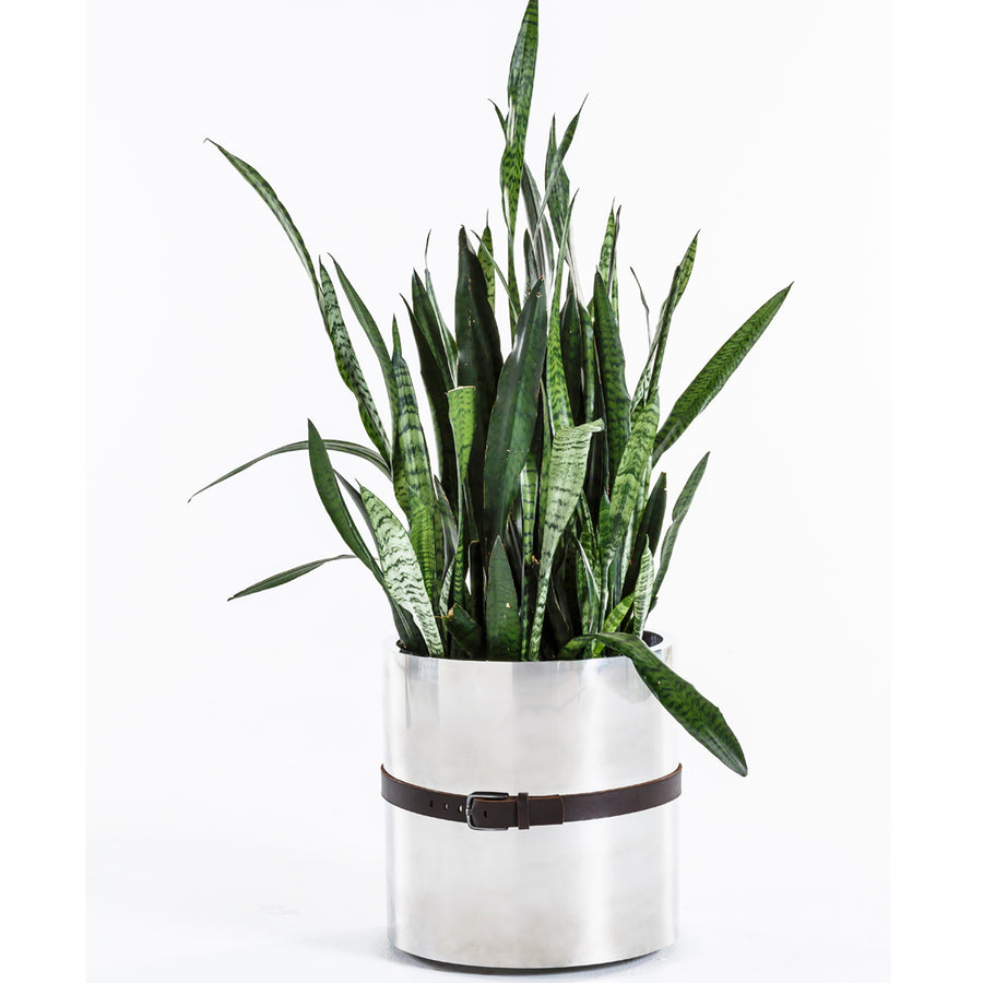 Stainless Steel Belted Planter
