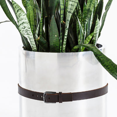 Stainless Steel Belted Planter